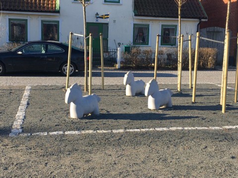 Bäckahästen