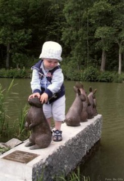 Rabbit Crossing